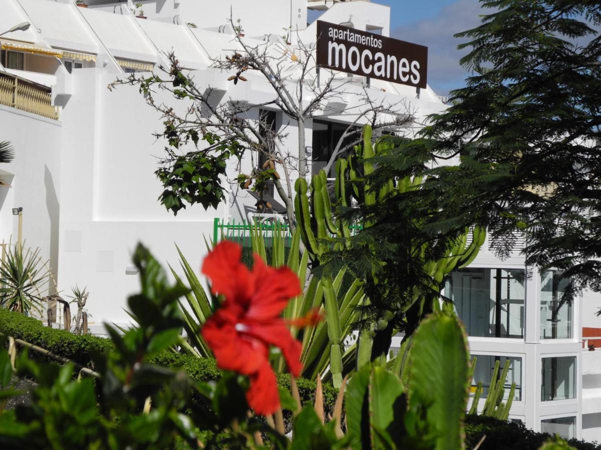 Apartamentos Los Mocanes Puerto Rico  Exterior foto